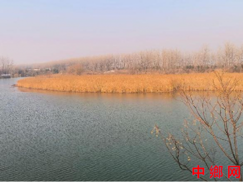 安徽利辛：湿地公园 静美若画