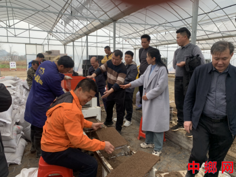 湖南宁远：科技特派员深入一线，为乡村振兴插