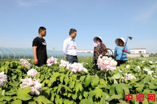 安徽阜阳：到一线  听民声