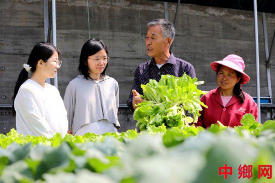 <b>安徽阜阳：农技专家 田间助农</b>