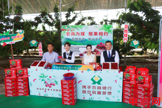 金融赋能：樱桃产业甜如蜜