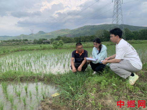 湖南宁远：科技特派员助力春耕生产