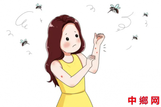 夏季，常见蚊虫如何应对（服务窗）