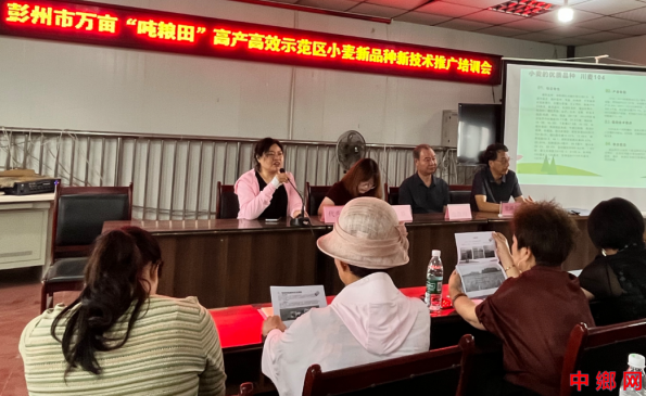 代秀蓉：扎根田间传技术 躬身测产助丰产