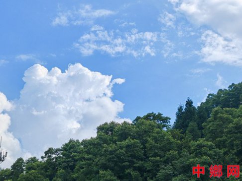 松涛蘸墨写青山:一位退役军人的龙门山消夏笔记
