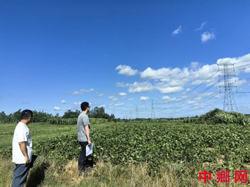 安徽凤阳大庙镇：扎实开展种养殖产业奖补验收