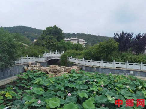 “风景这边独好”