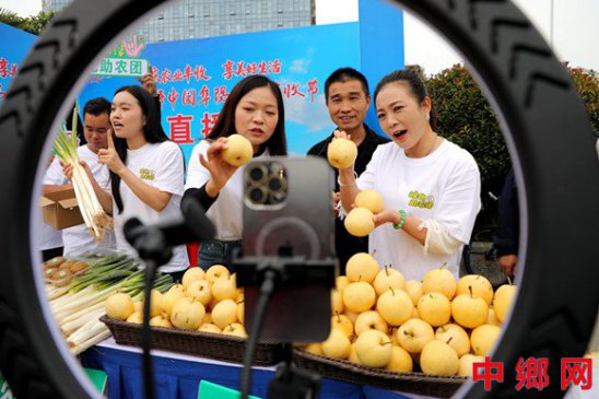 <b>安徽阜阳市临泉县：丰收节上农副产品走俏</b>