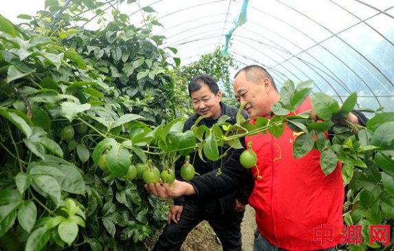 <b>人才振兴 产业振兴</b>