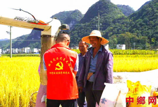 金黄田里马甲红 助农抢收暖民心