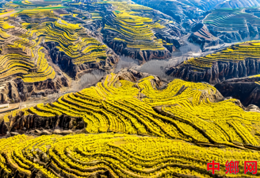 “金融活水”浇灌农民专业合作社茁壮成长