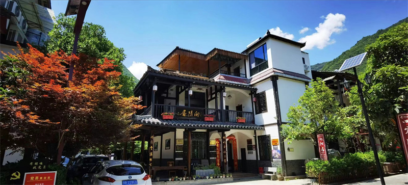 阴平村的民宿停满了客人的汽车。青川县融媒体中心供图