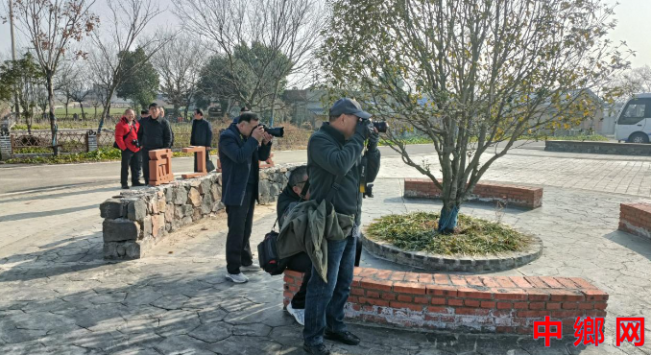 安徽：明光市苏巷镇开展“和美乡村 寻觅诗意”