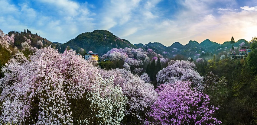 美丽四川。四川省林草局供图