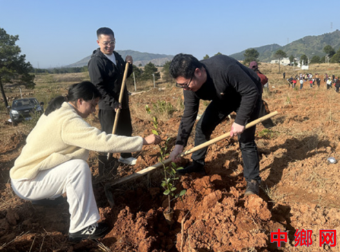 湖南宁远县印山小学：开展“义务植树”主题党