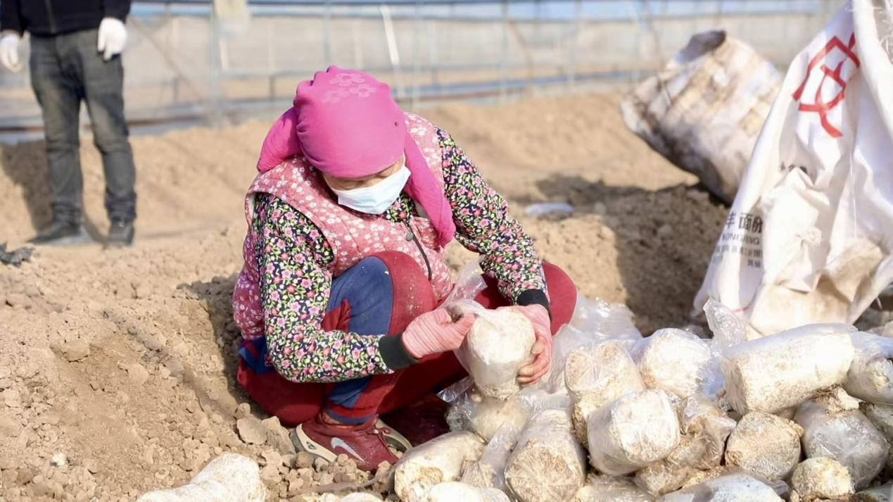 农户在家门口就能增收致富。王隆基摄