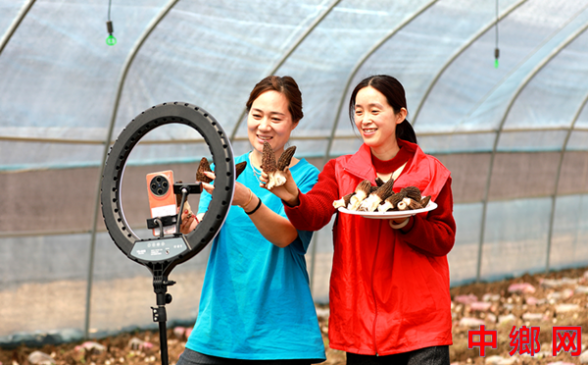 <b>安徽阜阳：直播助农拓销路</b>