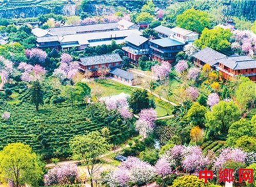 春日消费“花开”多地