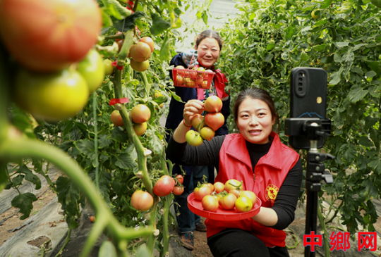 <b>安徽阜阳：特色产业 助农增收</b>