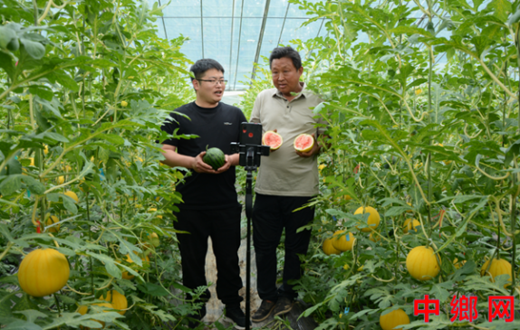 联手直播带货 揭秘致富“甜蜜密码”